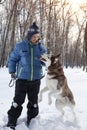 Happy teenager boy playing with white Husky dog in winter day, pet and child game on snow Royalty Free Stock Photo