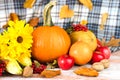 Happy Thanksgiving. Autumn composition with pumpkins, yellow flowers, various vegetables and autumn leaves on a wooden background Royalty Free Stock Photo