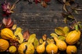 Happy Thanksgiving Background. Autumn Harvest and Holiday border. Selection of various pumpkins on dark wooden background. Royalty Free Stock Photo