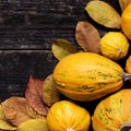 Happy Thanksgiving Background. Autumn Harvest and Holiday border. Selection of various pumpkins on dark wooden background. Royalty Free Stock Photo