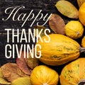 Happy Thanksgiving Background. Autumn Harvest and Holiday border. Selection of various pumpkins on dark wooden background. Autumn. Royalty Free Stock Photo