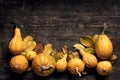 Happy Thanksgiving Background. Autumn Harvest and Holiday border. Selection of various pumpkins on dark wooden background. Royalty Free Stock Photo