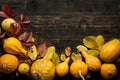 Happy Thanksgiving Background. Autumn Harvest and Holiday border. Selection of various pumpkins on dark wooden background. Royalty Free Stock Photo