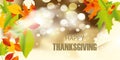 Happy thanksgiving background. Autumn leaves isolated. Autumn banner. Vector illustration Royalty Free Stock Photo