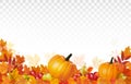 Happy Thanksgiving Background with colorful leaves