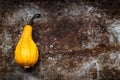 Happy Thanksgiving Background. Orange pumpkin on rustic metal background with copy space. Autumn Harvest. Royalty Free Stock Photo