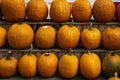 Happy Thanksgiving Background. Orange pumpkins at a market stall on horizontal shelves Royalty Free Stock Photo