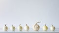 Happy Thanksgiving Background. Selection of little white pumpkins on white shelf against white wall. Autumn room decoration. Royalty Free Stock Photo