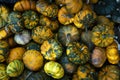 Happy Thanksgiving Background. Selection of various pumpkins and autumnal gourds Royalty Free Stock Photo