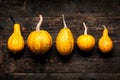 Happy Thanksgiving Background. Selection of various pumpkins on dark wooden background. Autumn vegetables and seasonal decorations Royalty Free Stock Photo