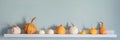Happy Thanksgiving Background. Selection of various pumpkins on white shelf against pastel turquoise colored wall. Royalty Free Stock Photo