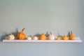 Happy Thanksgiving Background. Selection of various pumpkins on white shelf against pastel turquoise colored wall. Royalty Free Stock Photo