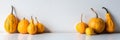 Happy Thanksgiving Background. Selection of various pumpkins on white shelf against white wall. Modern seasonal room decoration.