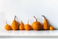 Happy Thanksgiving Background. Selection of various pumpkins on white shelf against white wall. Royalty Free Stock Photo