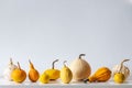 Happy Thanksgiving Background. Selection of various pumpkins on white shelf against white wall. Modern minimal room decoration. Royalty Free Stock Photo