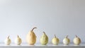 Happy Thanksgiving Background. Selection of various pumpkins on white shelf against white wall. Modern minimal room decoration. Royalty Free Stock Photo