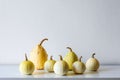 Happy Thanksgiving Background. Selection of various pumpkins on white shelf against white wall. Modern room decor. Royalty Free Stock Photo