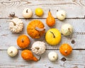Happy Thanksgiving Background. Selection of various pumpkins on white wooden background. Autumn vegetables and seasonal decoration