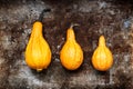 Happy Thanksgiving Background. Three orange pumpkins on rustic metal background with copy space. Autumn Harvest. Royalty Free Stock Photo
