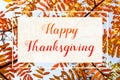 Happy Thanksgiving banner with colorful foliage over blue sky Royalty Free Stock Photo