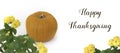 Banner for Thanksgiving with pumpkin over white Royalty Free Stock Photo