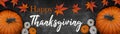 Happy Thanksgiving banner panorama - Autumn Holiday Harvest still life, Set of various pumpkins and fallen leaves on dark concrete Royalty Free Stock Photo