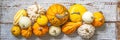 Happy Thanksgiving Banner. Selection of various pumpkins on old white wooden background. Autumn vegetables and seasonal decoration