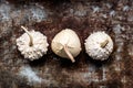 Happy Thanksgiving Banner. Three white pumpkins on rustic metal background with copy space. Autumn Harvest.