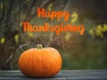 Happy Thanksgiving. Bright pumpkin and congratulatory inscription Royalty Free Stock Photo