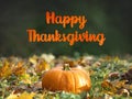 Happy Thanksgiving. Bright pumpkin and congratulatory inscription Royalty Free Stock Photo