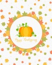 Thanksgiving Card Design Fresh Pumpkin Cartoon Vector