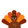 Happy Thanksgiving Cartoon Turkey on white background Thanksgiving poster.