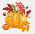 Happy Thanksgiving celebration background. Pumpkin, leaves, Rowan Berries, acorns.