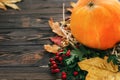 Happy Thanksgiving concept. Beautiful composition of Pumpkin, au
