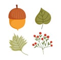 Happy thanksgiving day, autumn acorn leaf foliage icons