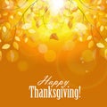 Happy Thanksgiving Day Background with Shiny Royalty Free Stock Photo