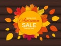 Happy Thanksgiving Day Background with Shiny Autumn Natural Leaves. Vector Illustration Royalty Free Stock Photo