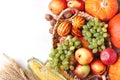 Happy Thanksgiving Day background, table decorated with Pumpkins, Maize, fruits and autumn leaves. Harvest festival. The Royalty Free Stock Photo