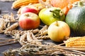 Happy Thanksgiving Day background, wooden table decorated with Pumpkins, Corncob, Candles and autumn leaves garland. Beautiful Hol Royalty Free Stock Photo