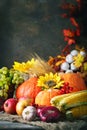 Happy Thanksgiving Day background, wooden table decorated with Pumpkins, Maize, fruits and autumn leaves. Harvest Royalty Free Stock Photo