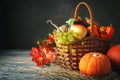 Happy Thanksgiving Day background, wooden table decorated with Pumpkins, Maize, fruits and autumn leaves. Harvest Royalty Free Stock Photo