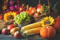 Happy Thanksgiving Day background, wooden table decorated with Pumpkins, Maize, fruits and autumn leaves. Harvest Royalty Free Stock Photo