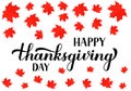 Happy Thanksgiving Day calligraphy hand lettering with red Canadian maple leaves. Holiday in Canada.  Vector template for greeting Royalty Free Stock Photo