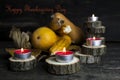 Happy Thanksgiving Day, Decoration on a wooden table with Burning Candles and Pumpkins, Corncob, autumn leaves in the background Royalty Free Stock Photo