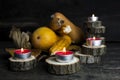 Happy Thanksgiving Day, Decoration on a wooden table with Burning Candles and Pumpkins, Corncob, autumn leaves in the background Royalty Free Stock Photo