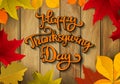 Happy Thanksgiving Day. Hand drawn lettering with yellow autumn Royalty Free Stock Photo