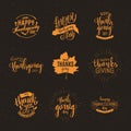 Happy Thanksgiving emblems set, brush pen calligraphy, vector il