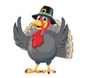 Happy Thanksgiving. Funny cartoon turkey bird Royalty Free Stock Photo