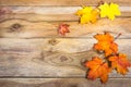 Thanksgiving background with vivid fall maple leaves, copy space Royalty Free Stock Photo