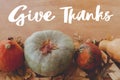 Happy Thanksgiving greeting card. Hand written Give Thanks text on background of pumpkins, autumn leaves, nuts, harvest vegetables Royalty Free Stock Photo